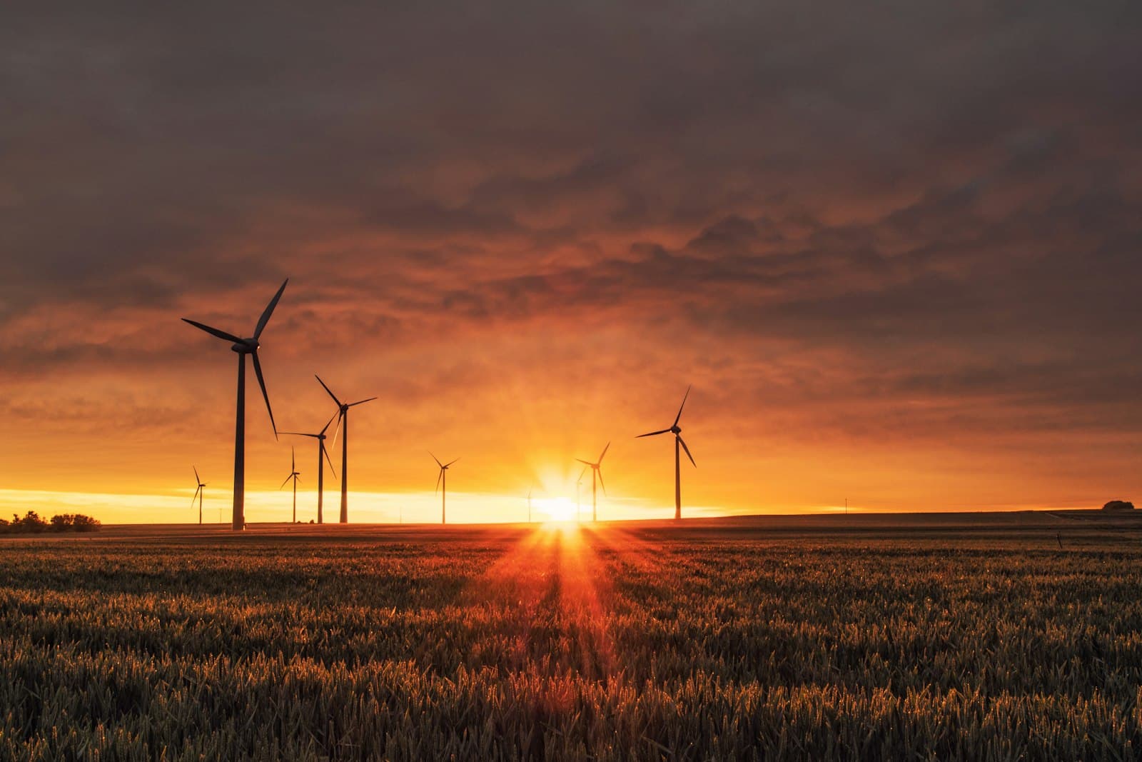 Halderon Publishes Landmark Report on Corporate Net Zero Pathways