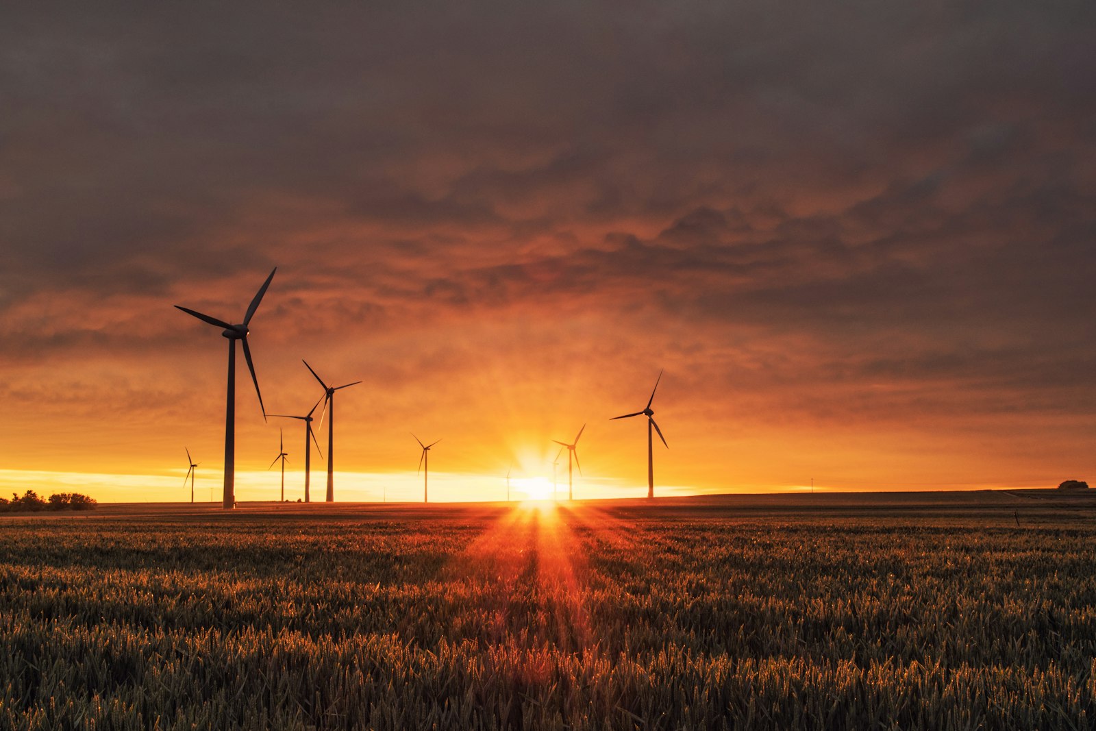 The Pragmatic Path to Net Zero: Balancing Ambition With Economic Reality